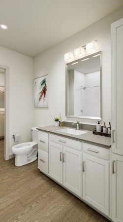 Camber Ridge Apartments Equipped with a convenient sink, a modern toilet, and a spacious mirror, this well-appointed bathroom offers a perfect blend of style and functionality.